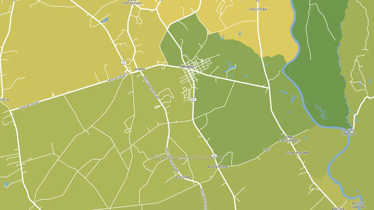 Pamplico, SC block-group voter-turnout map