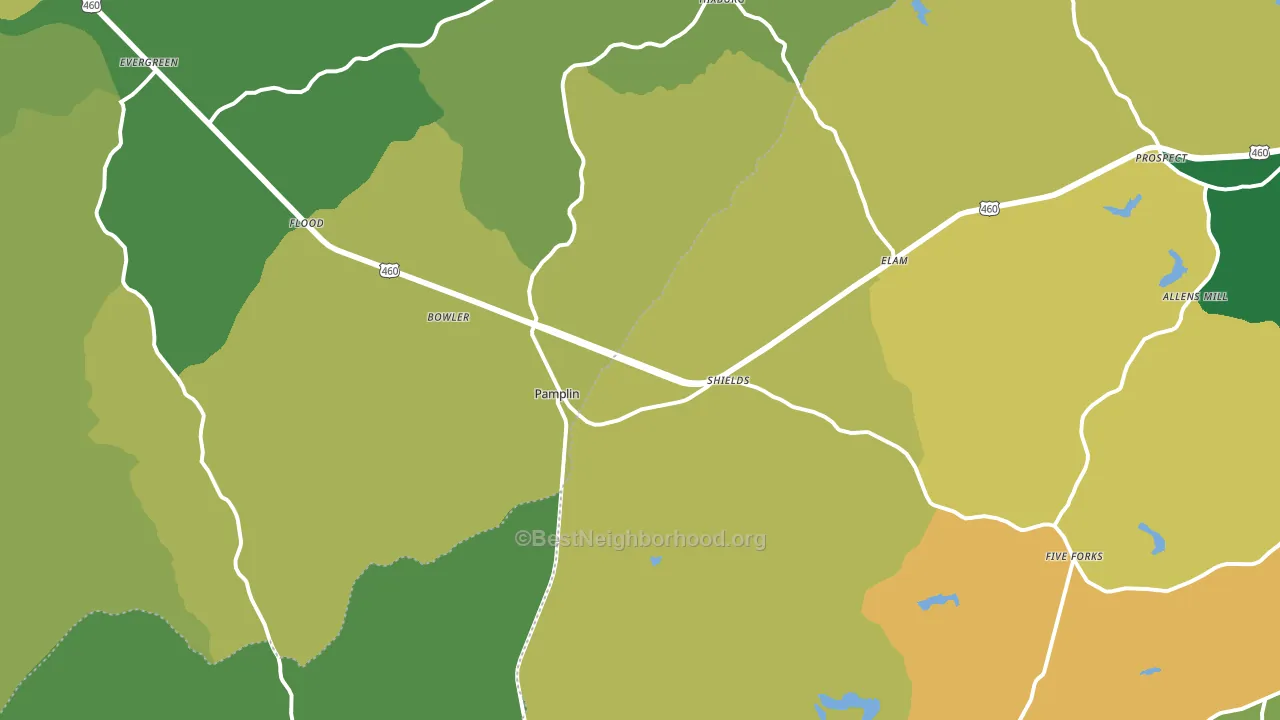 Pamplin, VA block-group voter-turnout map
