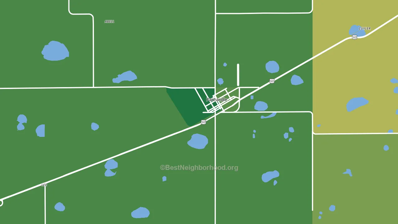 Panhandle, TX block-group voter-turnout map