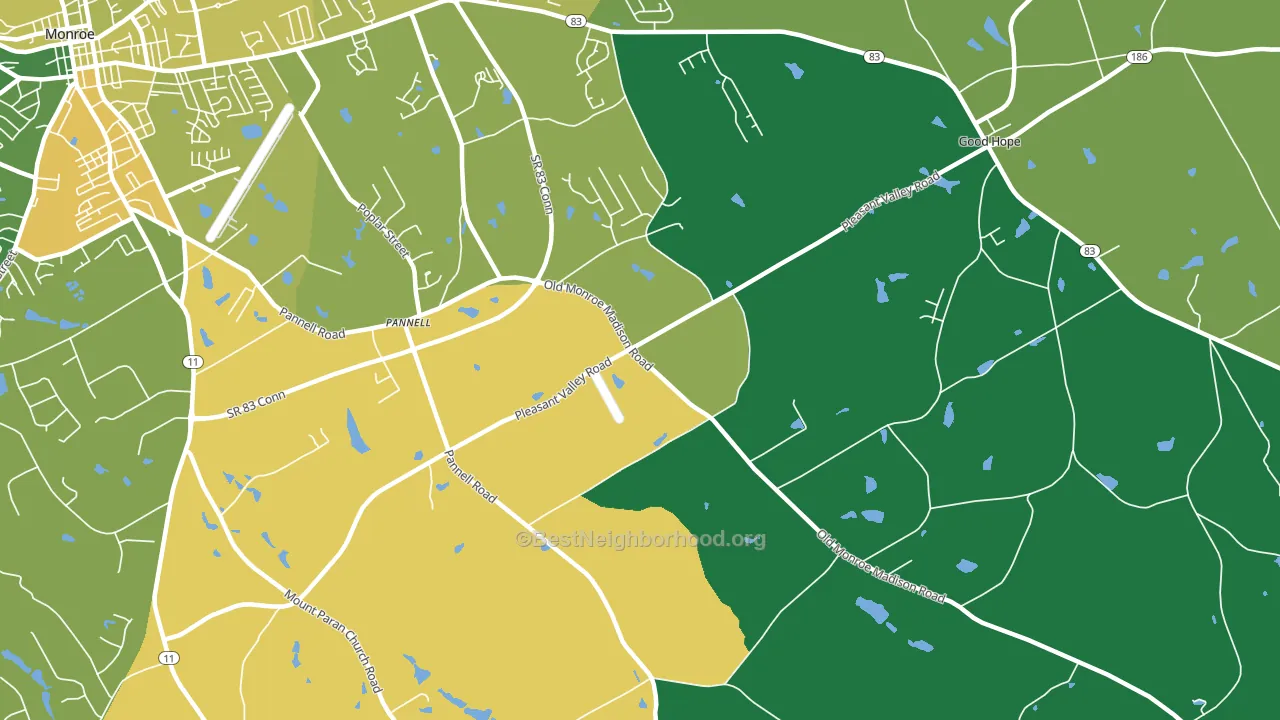 Pannell, GA block-group voter-turnout map