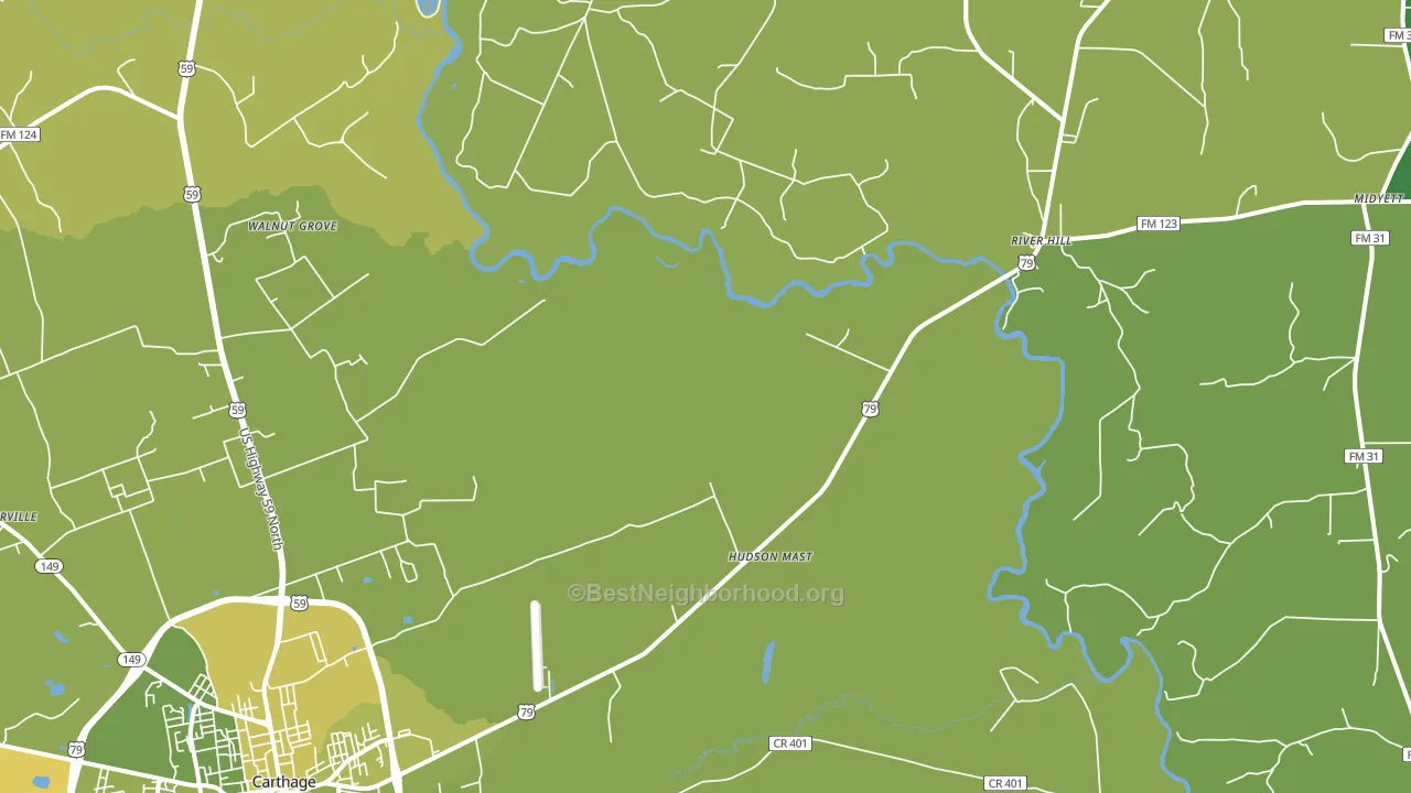 Panola, TX block-group voter-turnout map