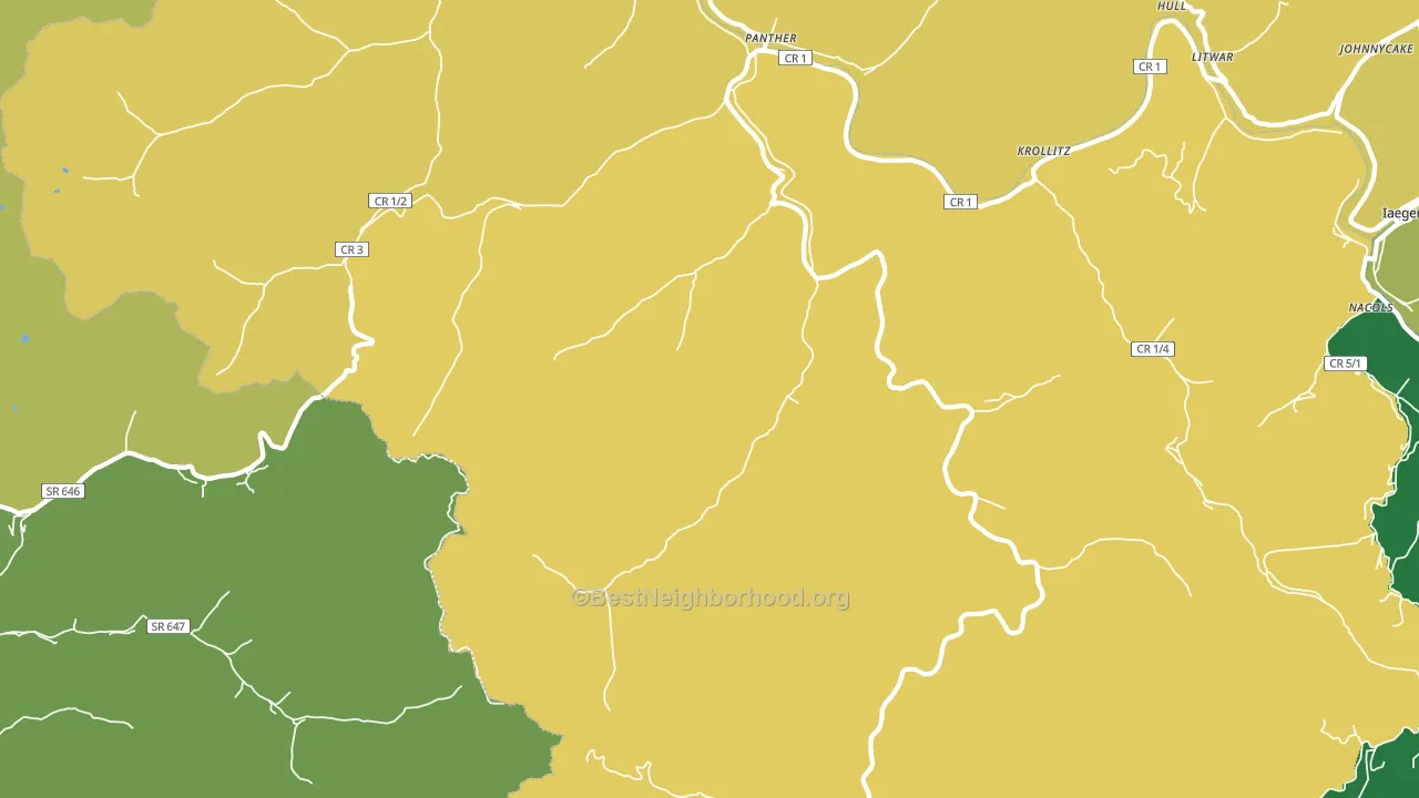 Panther, WV block-group voter-turnout map