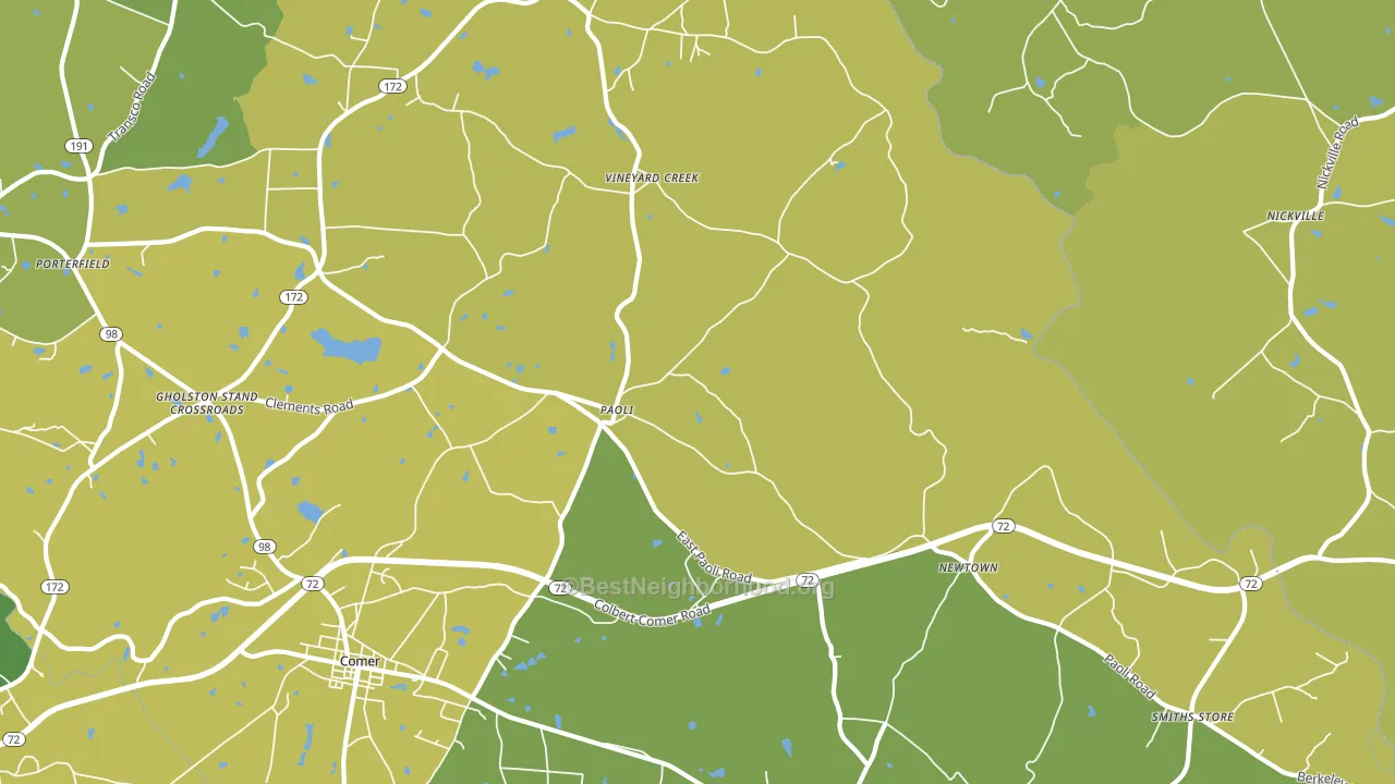 Paoli, GA block-group voter-turnout map
