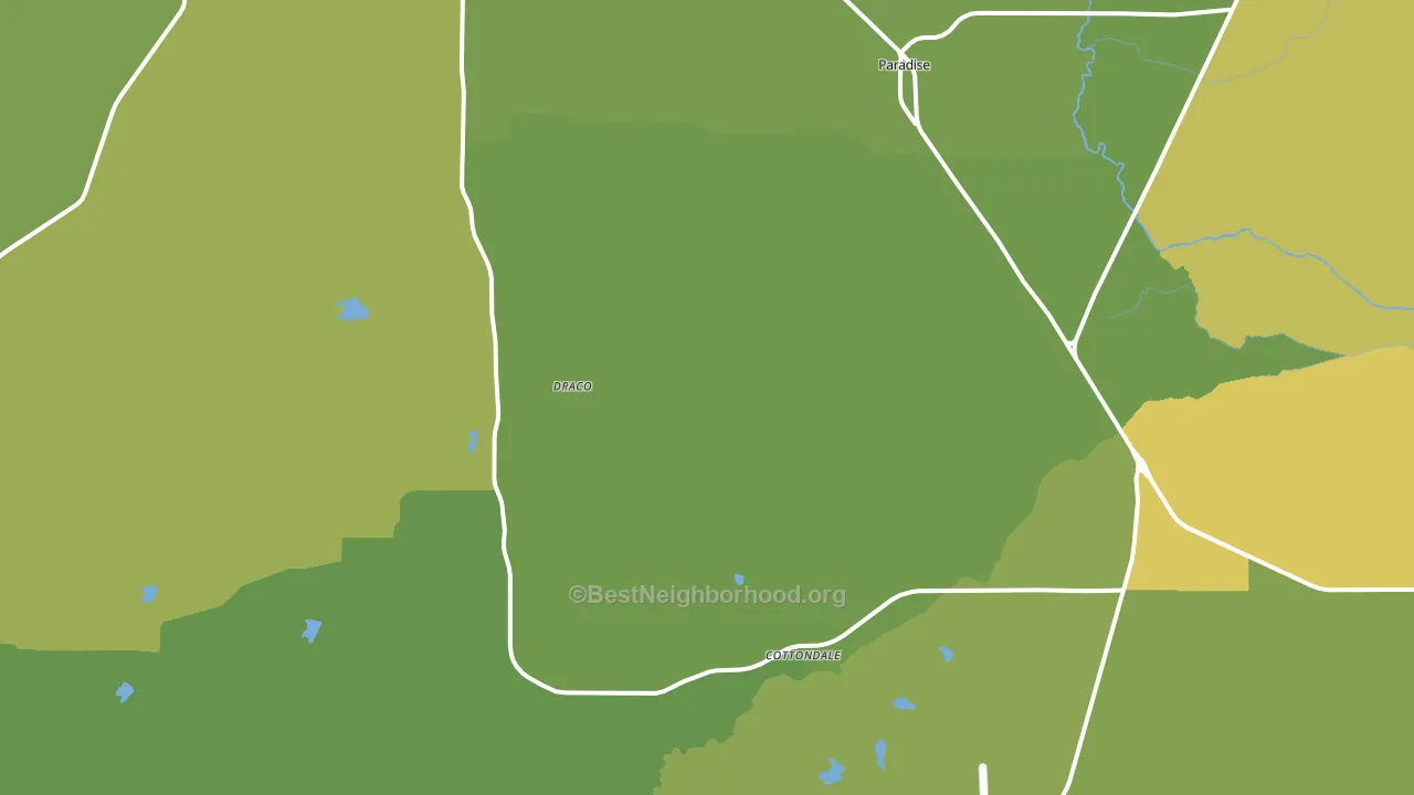 Paradise, TX block-group voter-turnout map