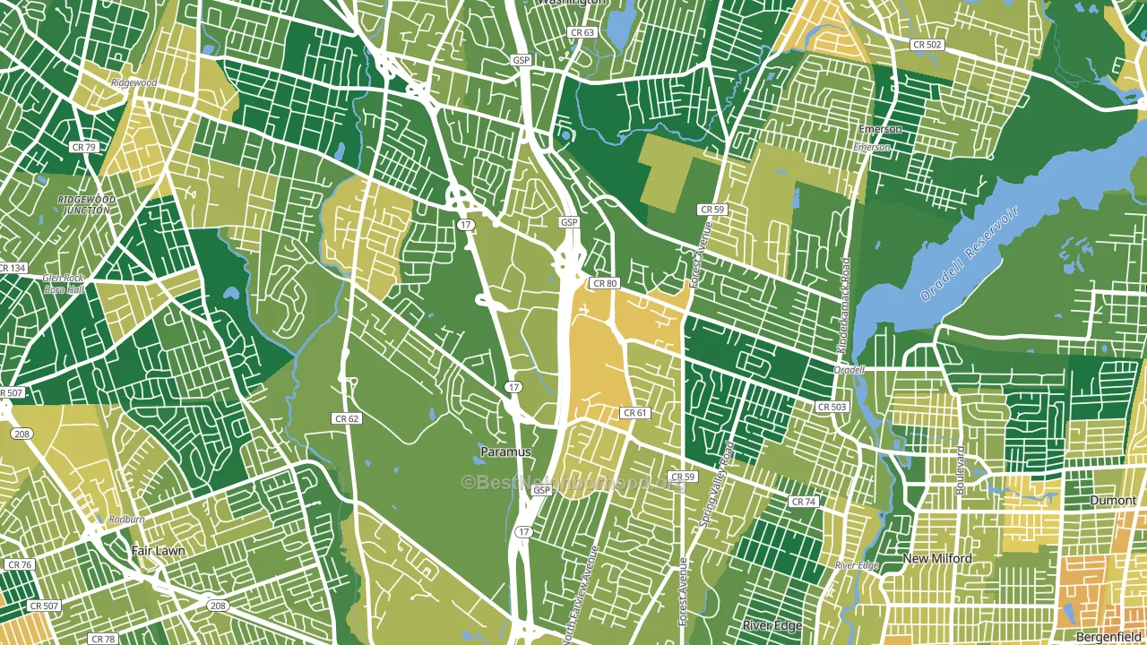 Paramus, NJ block-group voter-turnout map