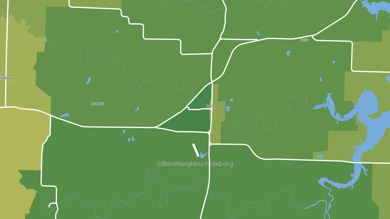 Paris, MO block-group voter-turnout map