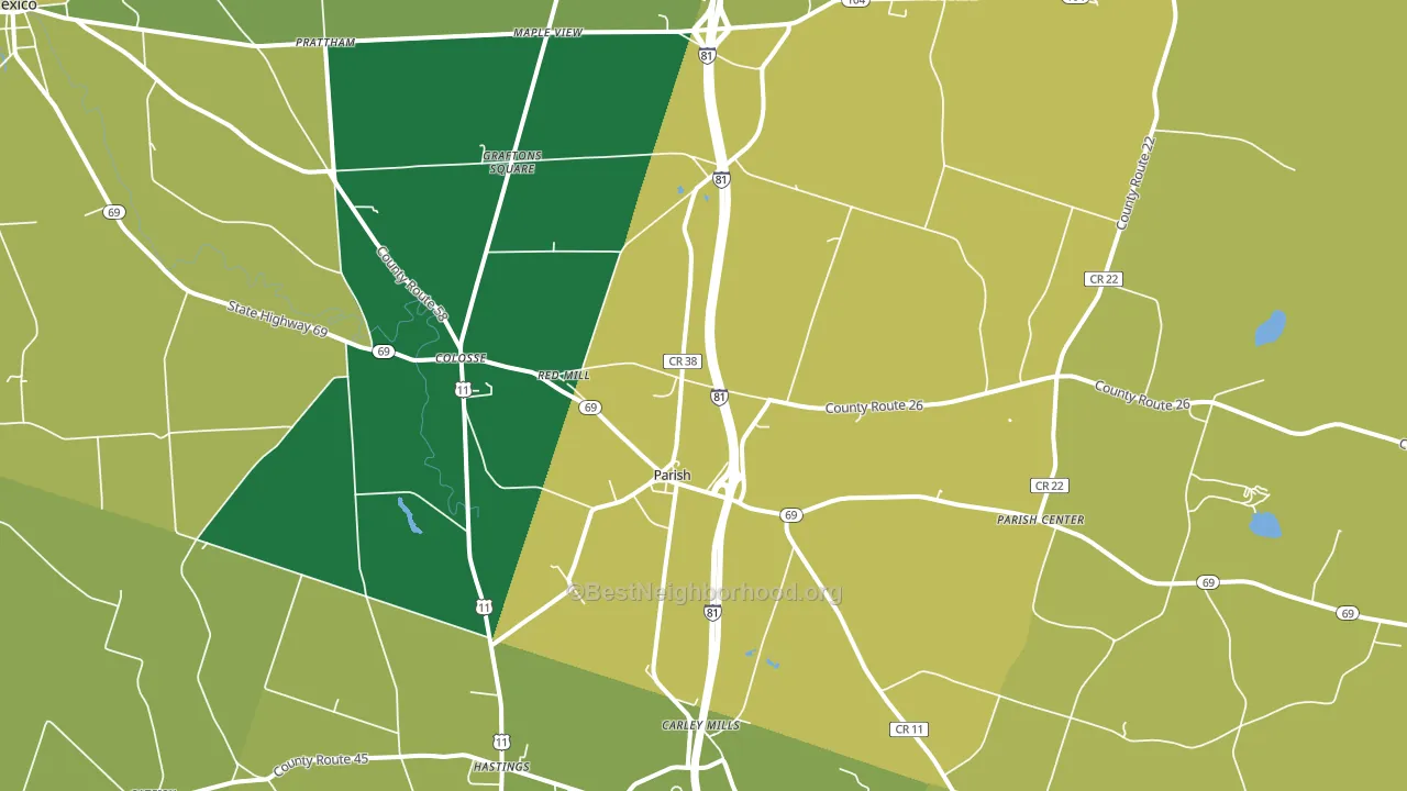Parish, NY block-group voter-turnout map