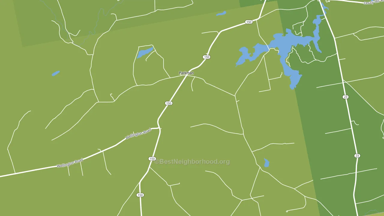 Parkman, ME block-group voter-turnout map