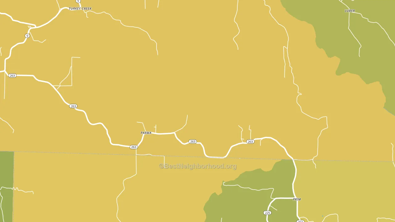 Parma, AR block-group voter-turnout map