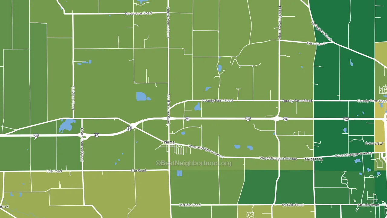 Parma, MI block-group voter-turnout map