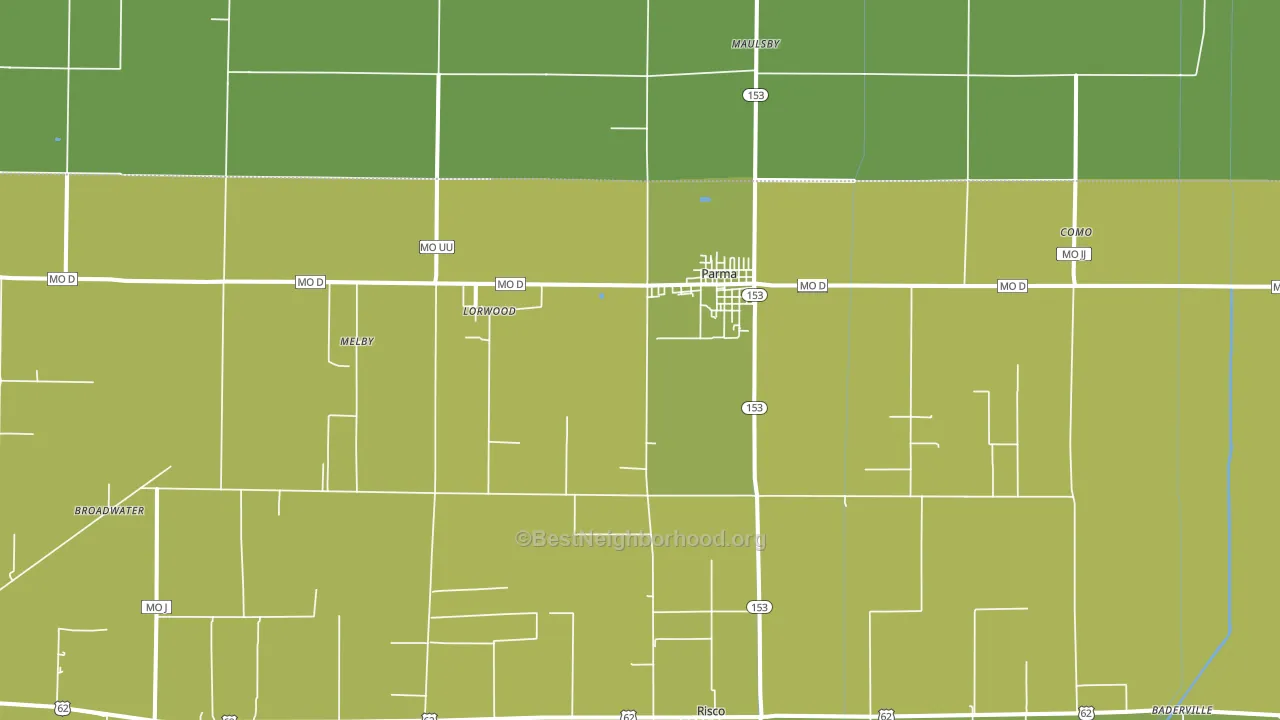 Parma, MO block-group voter-turnout map