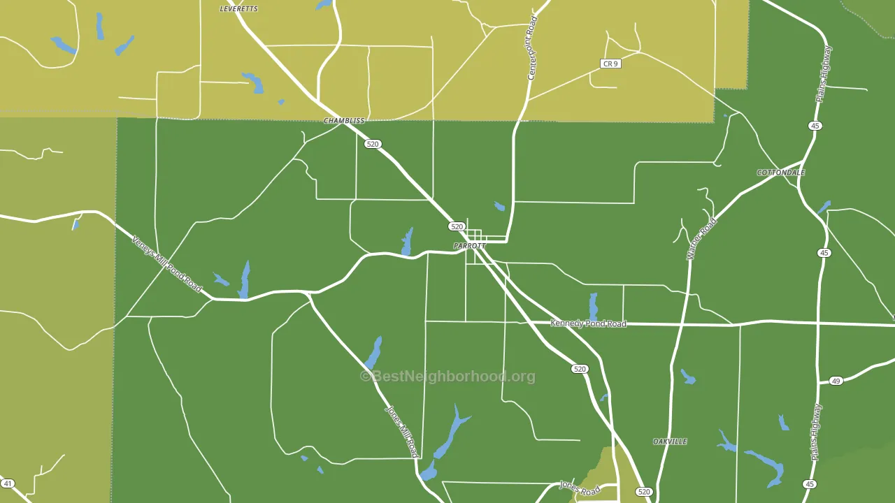 Parrott, GA block-group voter-turnout map