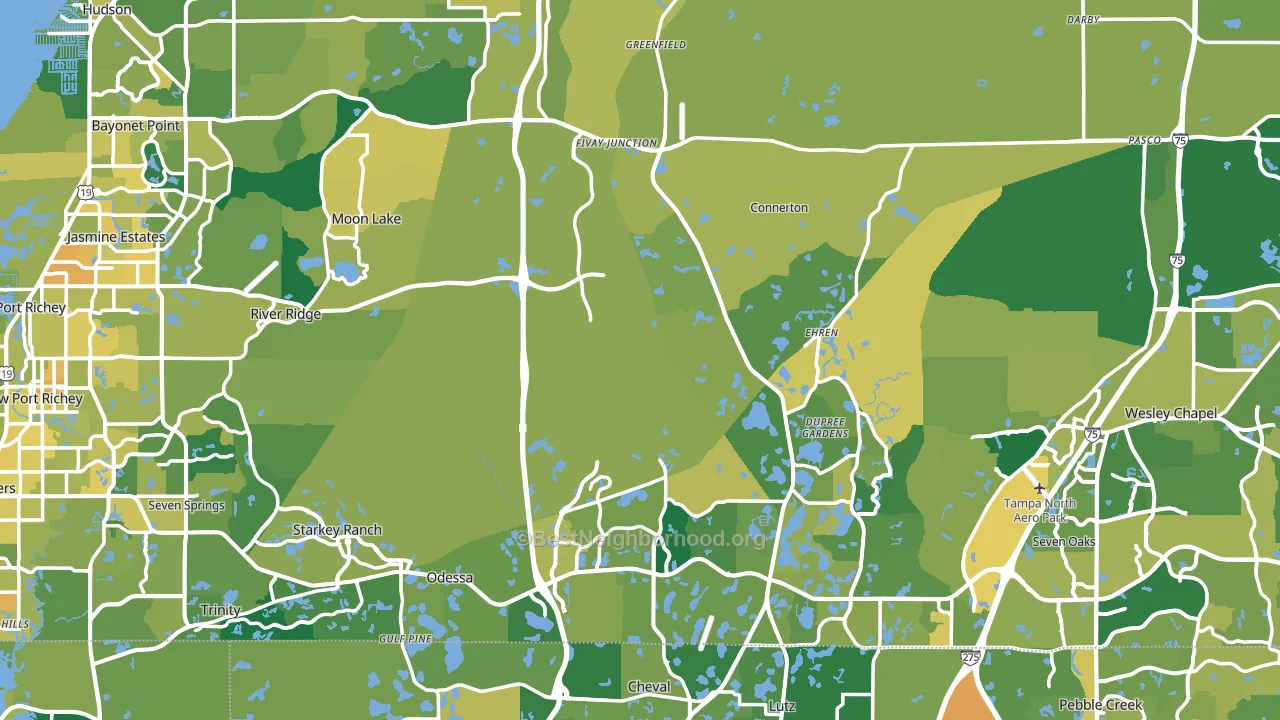 Pasco County, FL block-group voter-turnout map