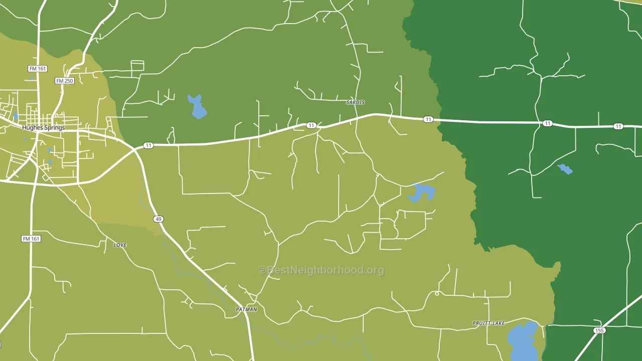 Patman, TX block-group voter-turnout map