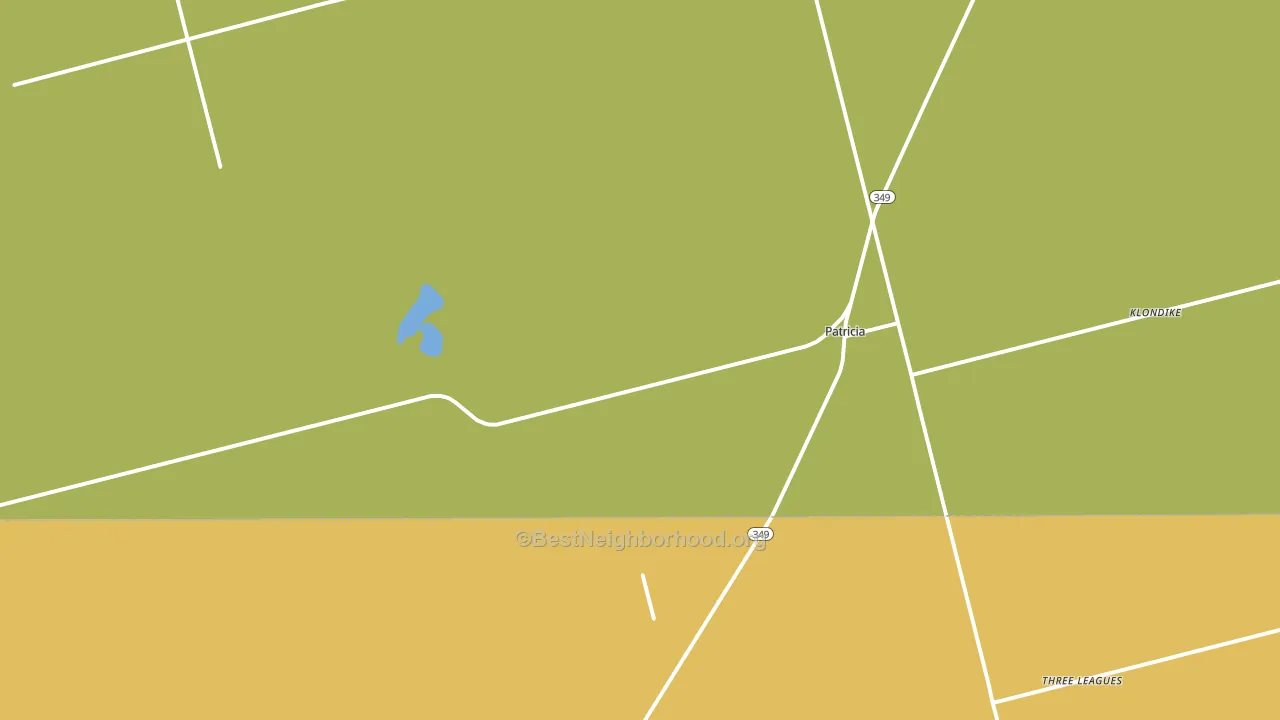 Patricia, TX block-group voter-turnout map