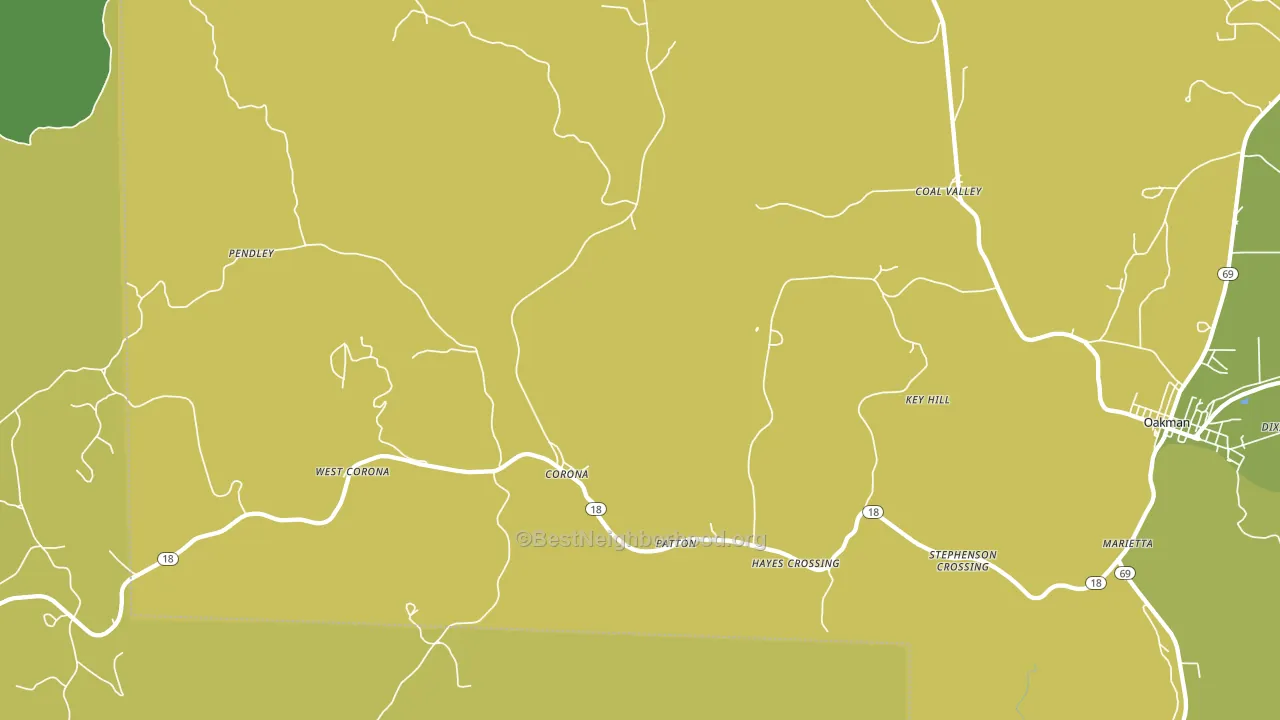 Patton, AL block-group voter-turnout map