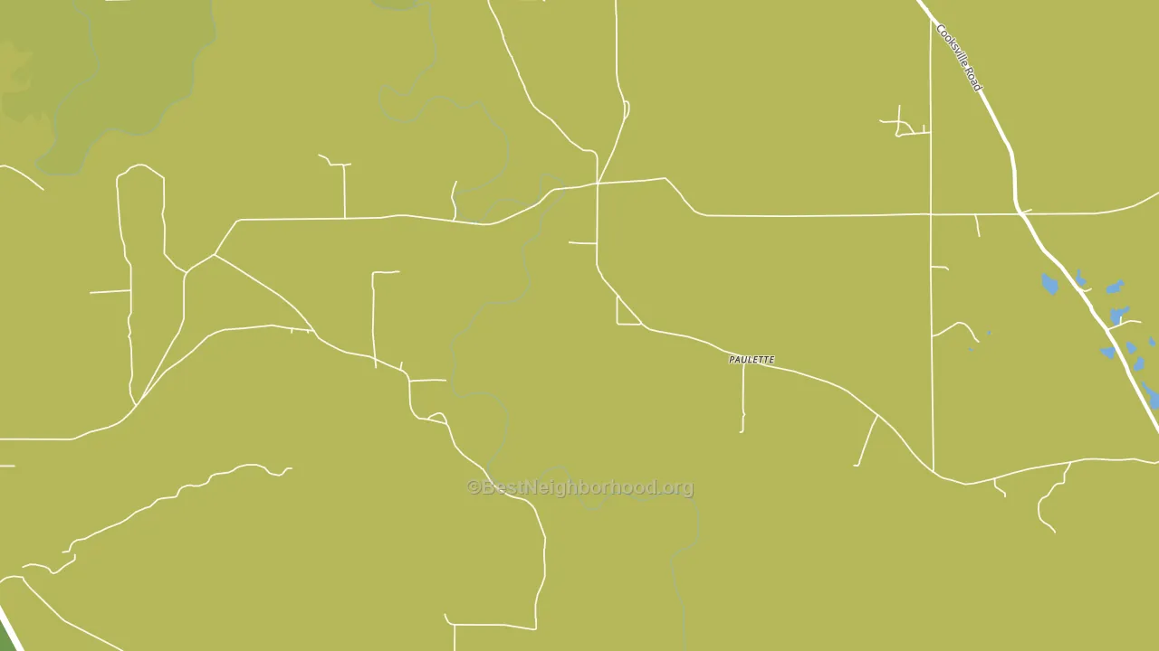 Paulette, MS block-group voter-turnout map