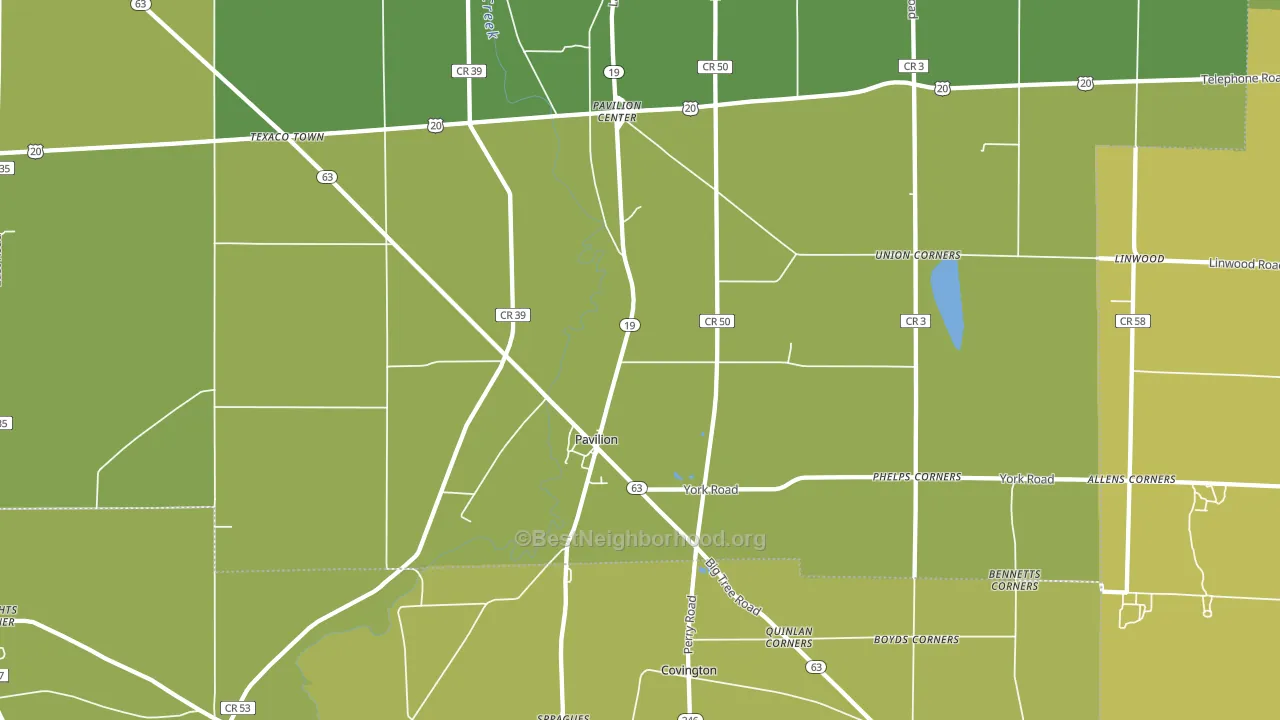 Pavilion, NY block-group voter-turnout map