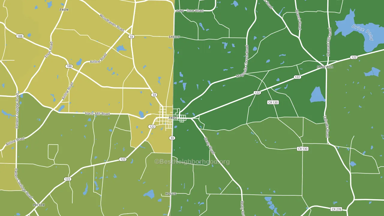 Pavo, GA block-group voter-turnout map