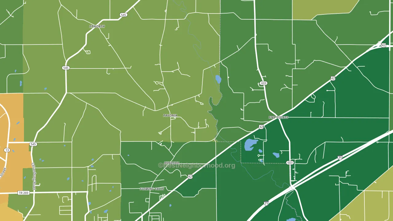 Pavonia, OH block-group voter-turnout map