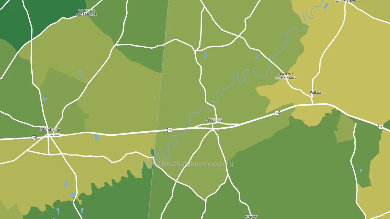 Peachland, NC block-group voter-turnout map