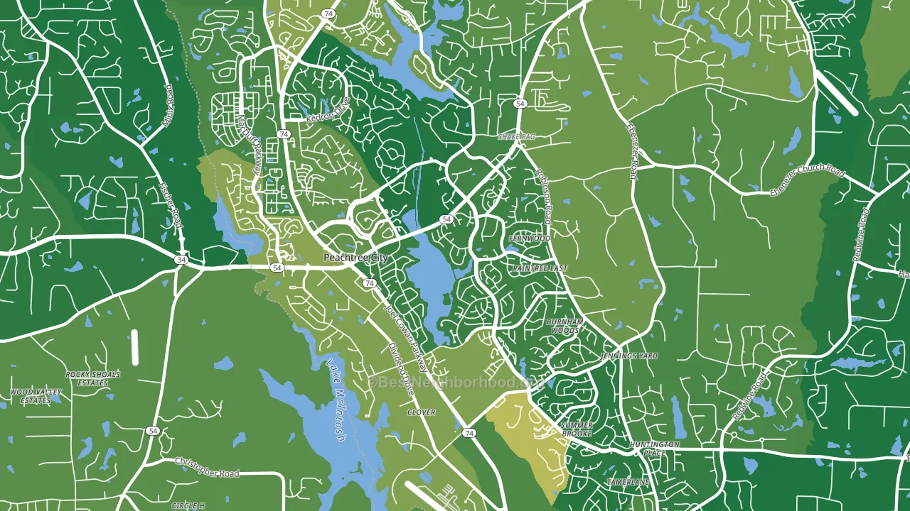 Peachtree City, GA block-group voter-turnout map