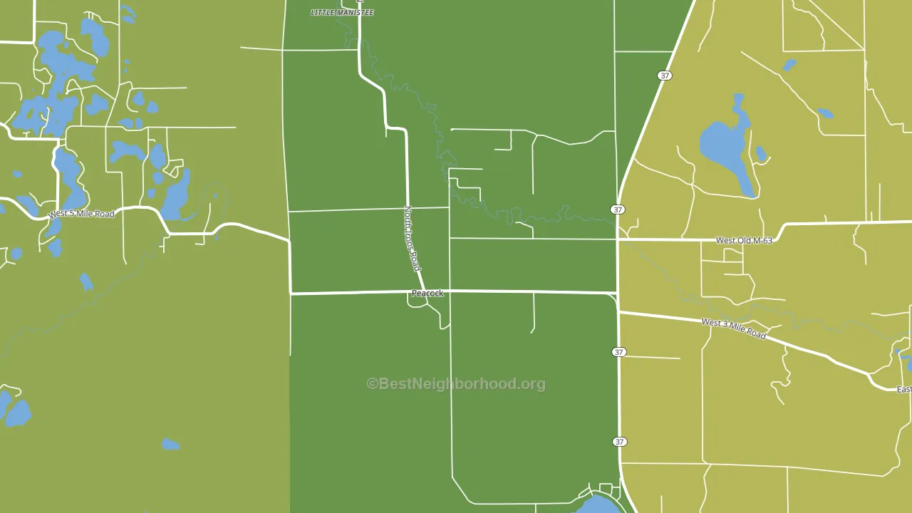 Peacock, MI block-group voter-turnout map