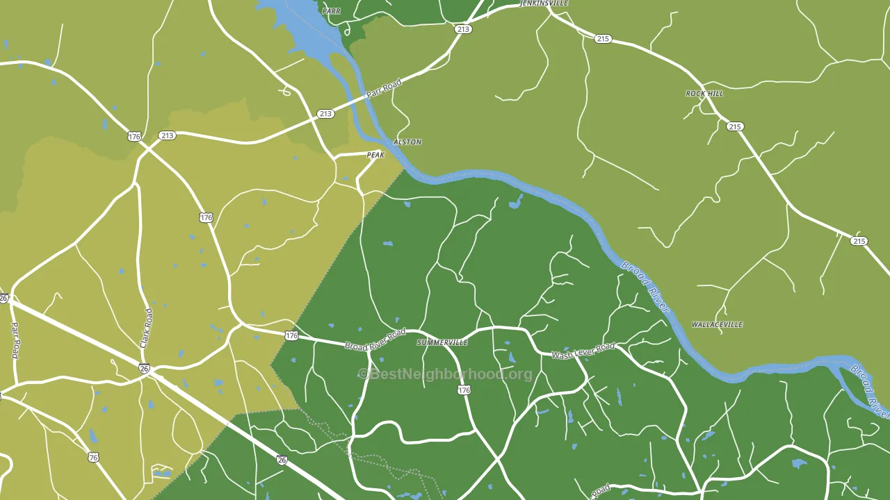 Peak, SC block-group voter-turnout map