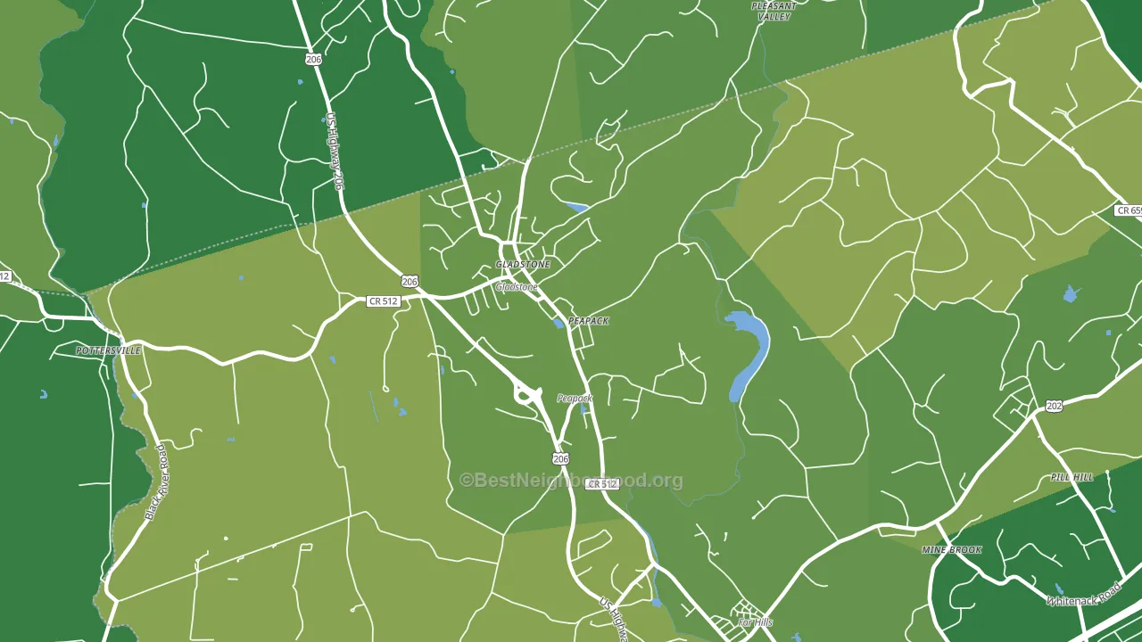 Peapack and Gladstone, NJ block-group voter-turnout map