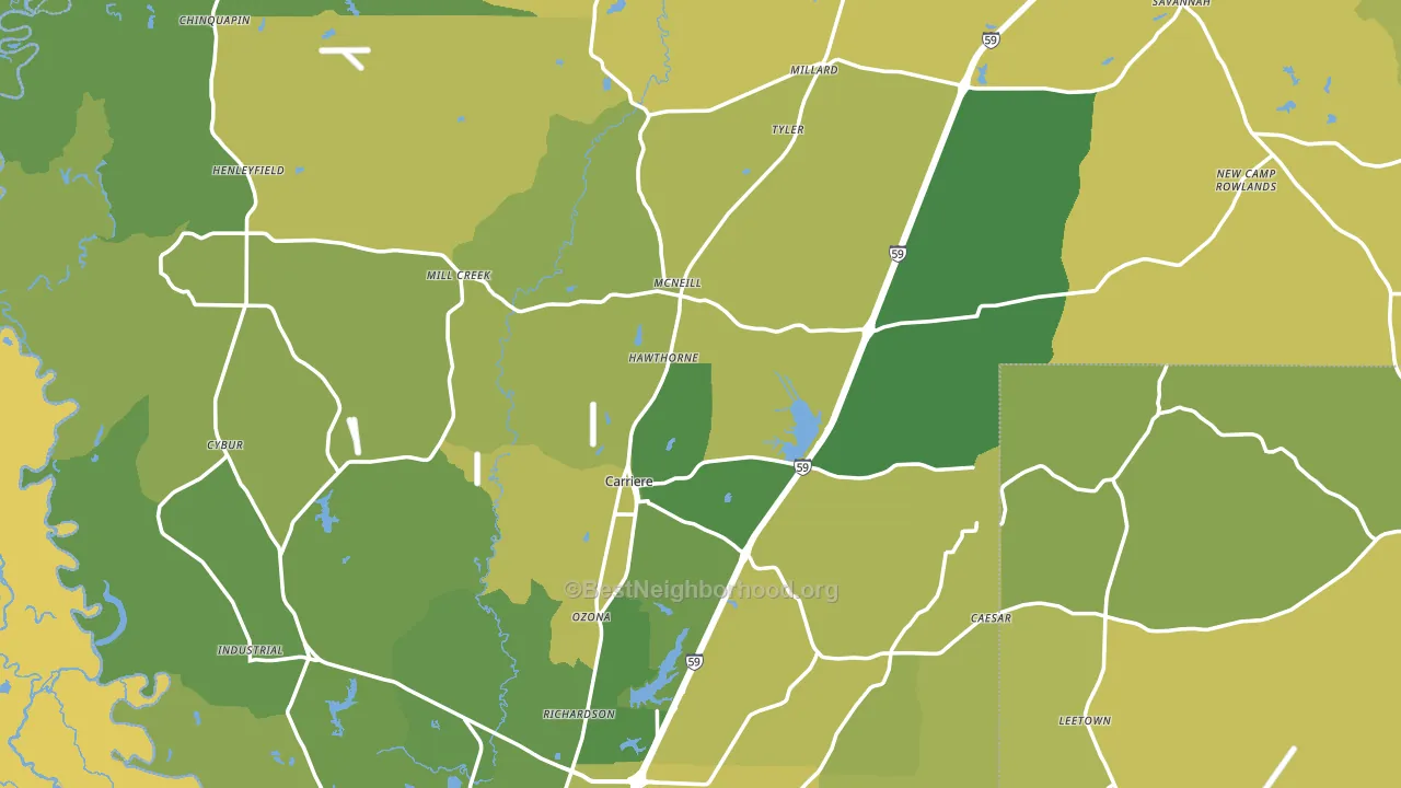 Pearl River County, MS block-group voter-turnout map
