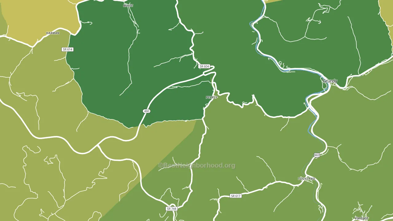 Pearly, VA block-group voter-turnout map