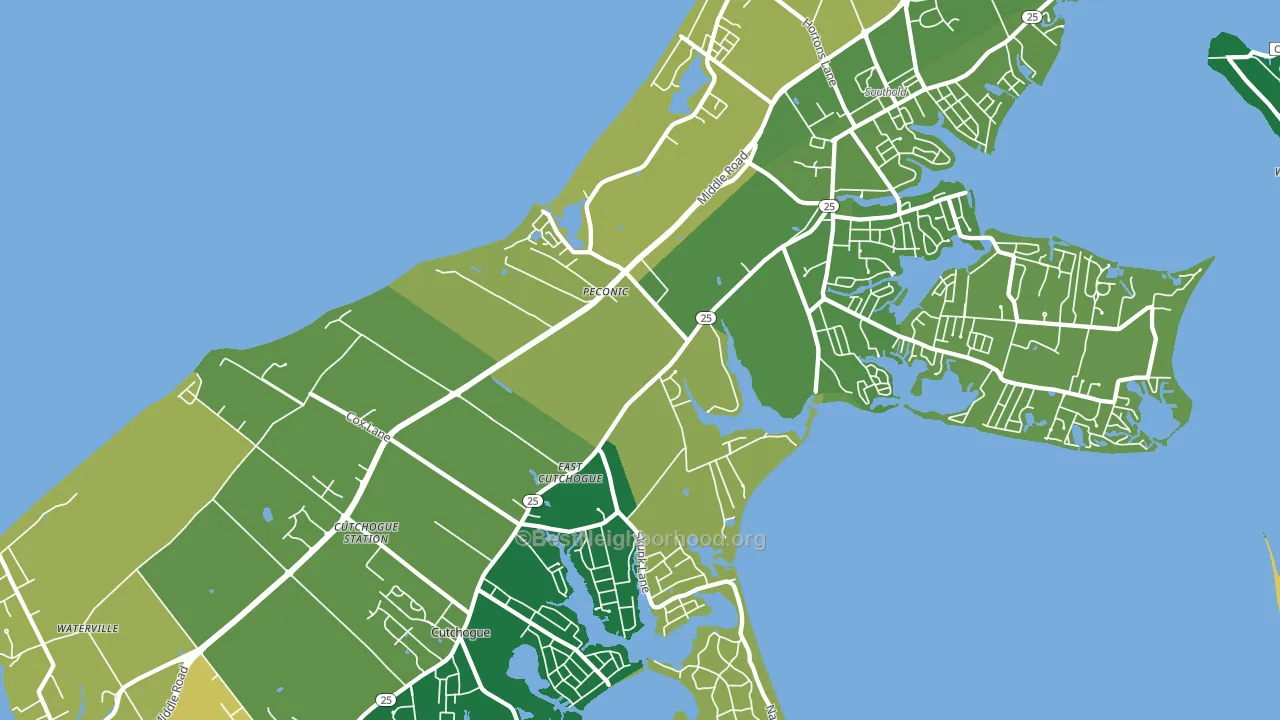 Peconic, NY block-group voter-turnout map