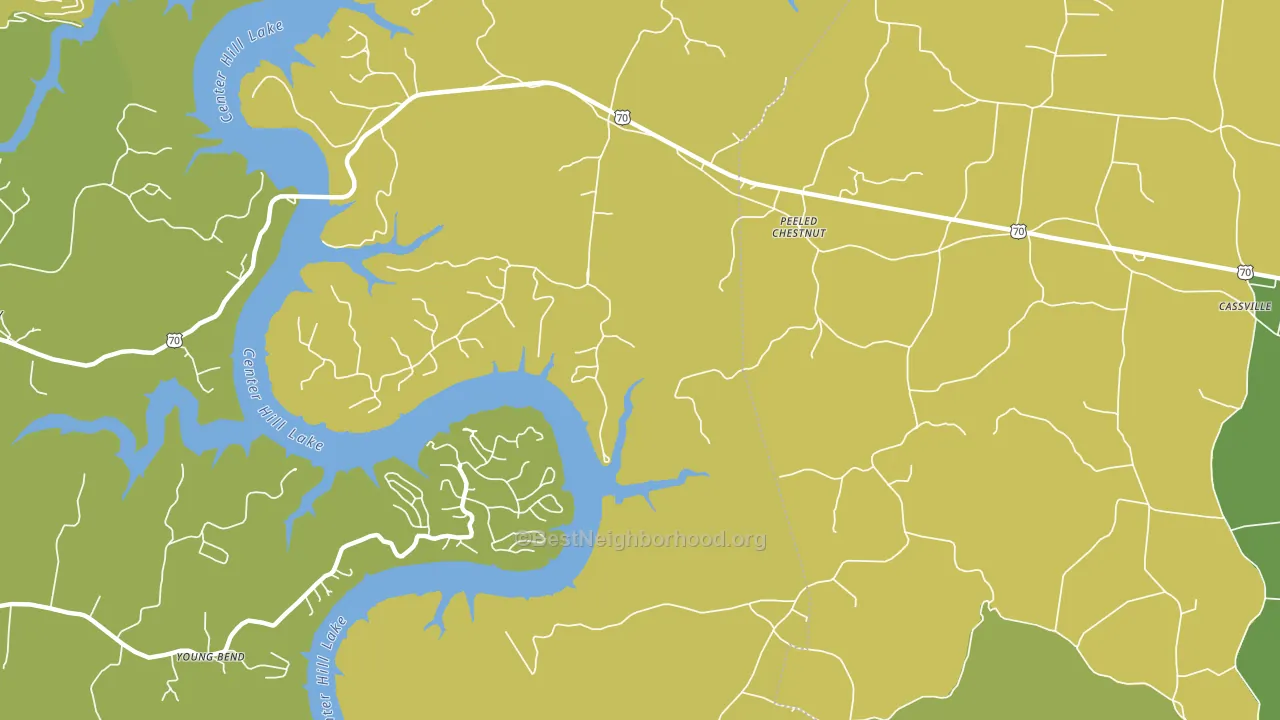 Peeled Chestnut, TN block-group voter-turnout map