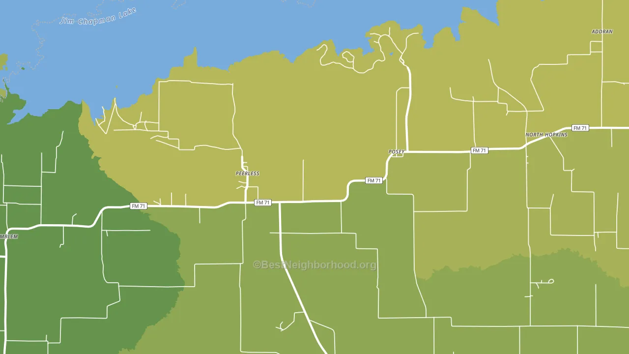Peerless, TX block-group voter-turnout map