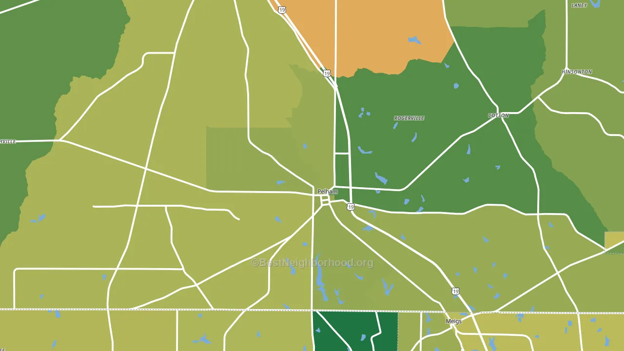 Pelham, GA block-group voter-turnout map