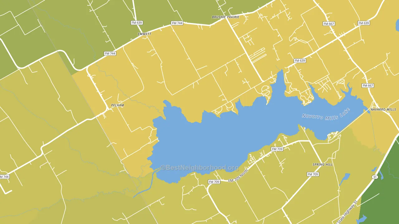 Pelham, TX block-group voter-turnout map