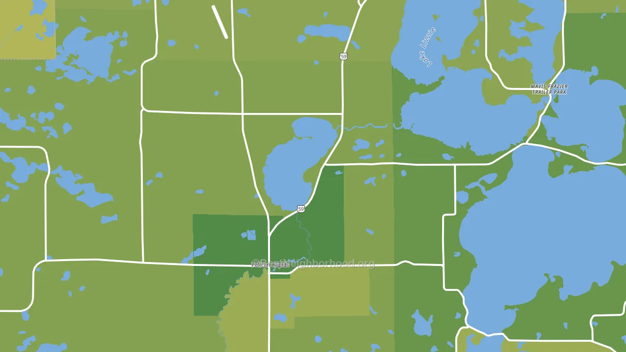 Pelican Rapids, MN block-group voter-turnout map