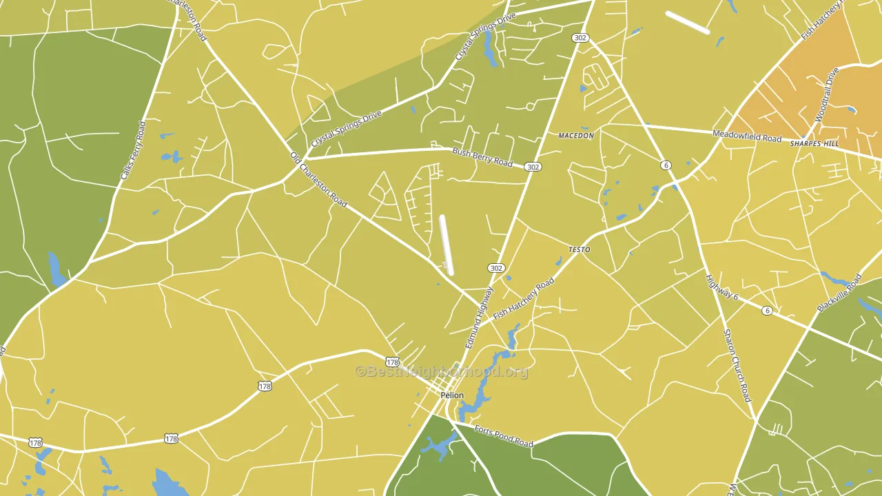 Pelion, SC block-group voter-turnout map