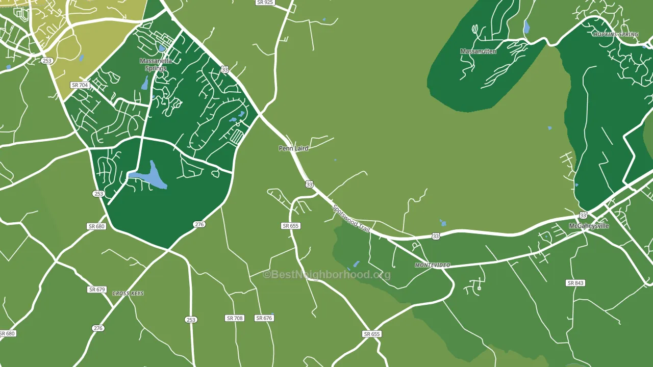 Penn Laird, VA block-group voter-turnout map