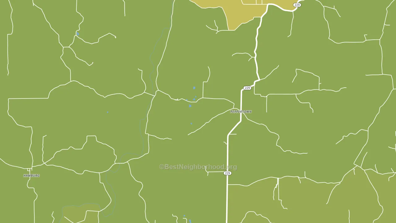 Peppertown, IN block-group voter-turnout map