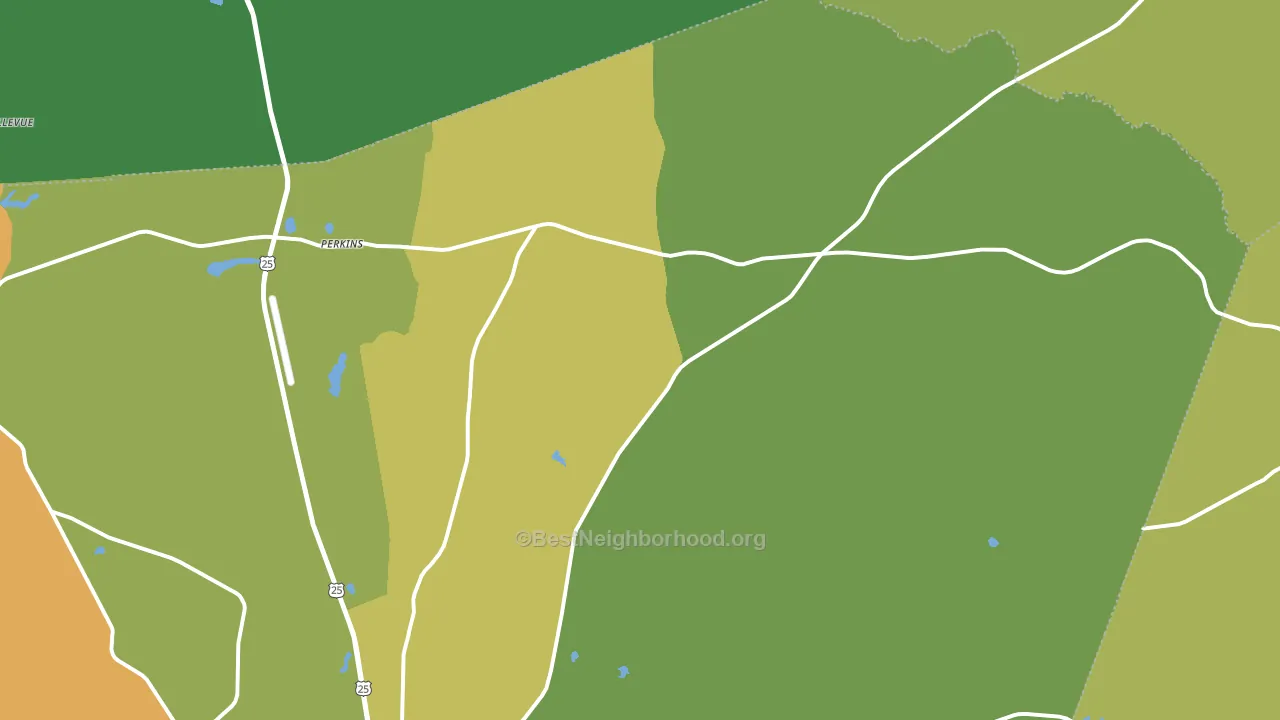 Perkins, GA block-group voter-turnout map