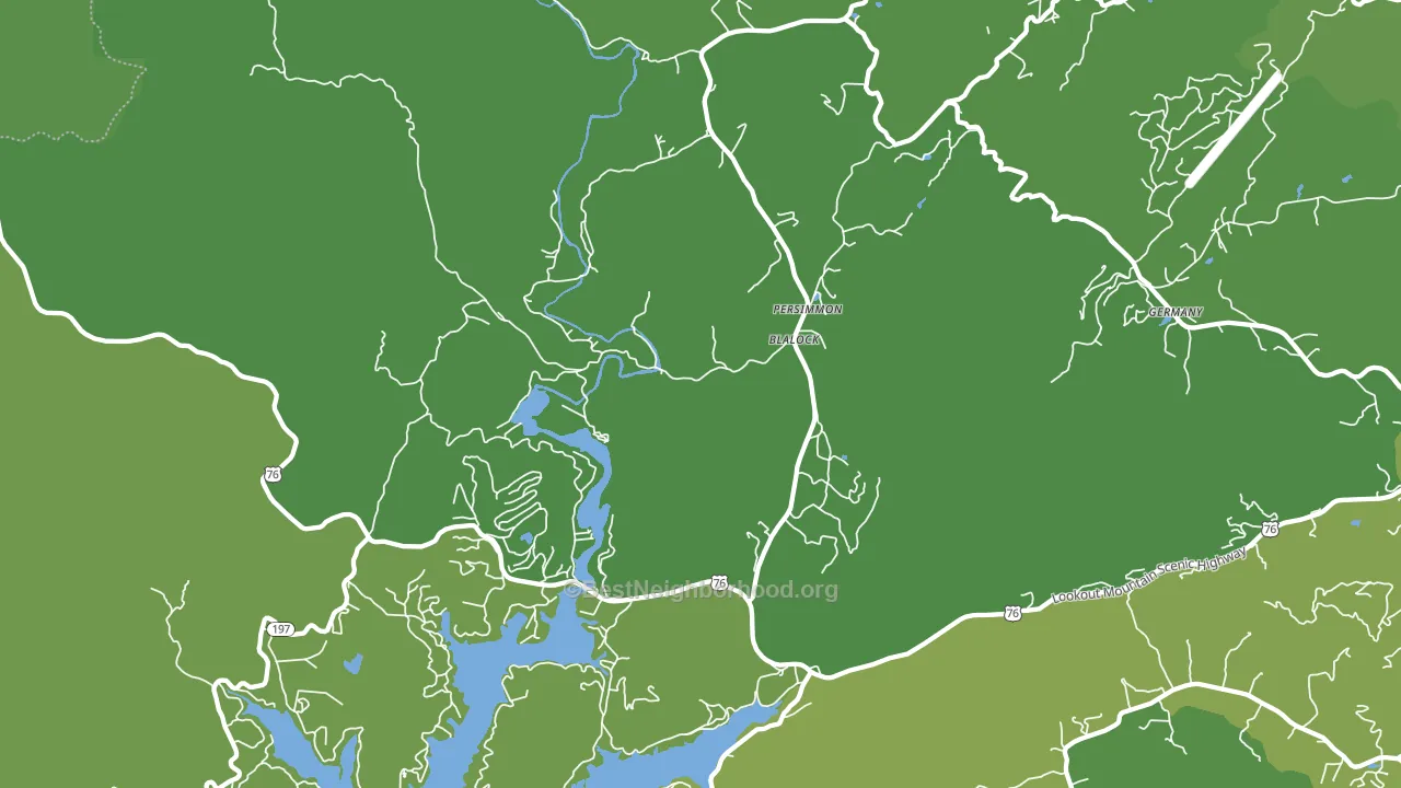 Persimmon, GA block-group voter-turnout map