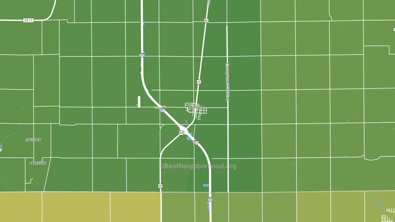 Pesotum, IL block-group voter-turnout map