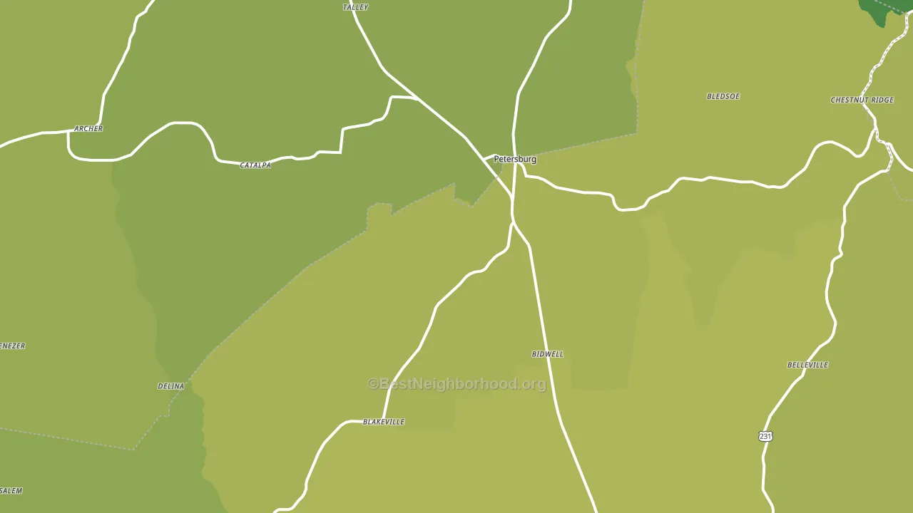 Petersburg, TN block-group voter-turnout map