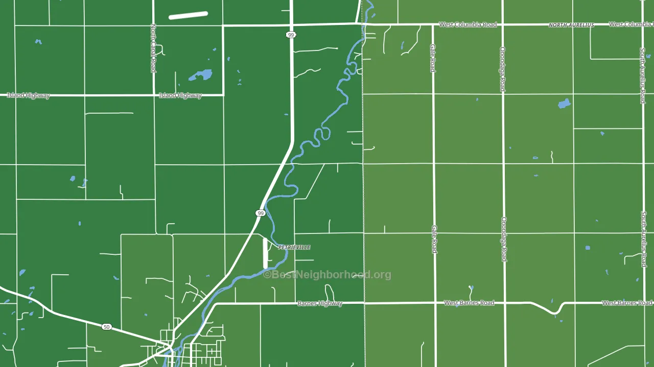 Petrieville, MI block-group voter-turnout map