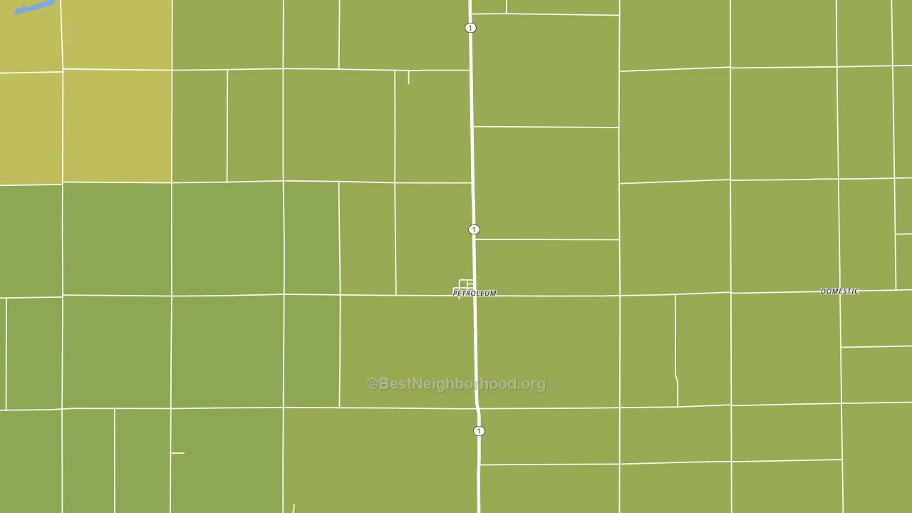 Petroleum, IN block-group voter-turnout map