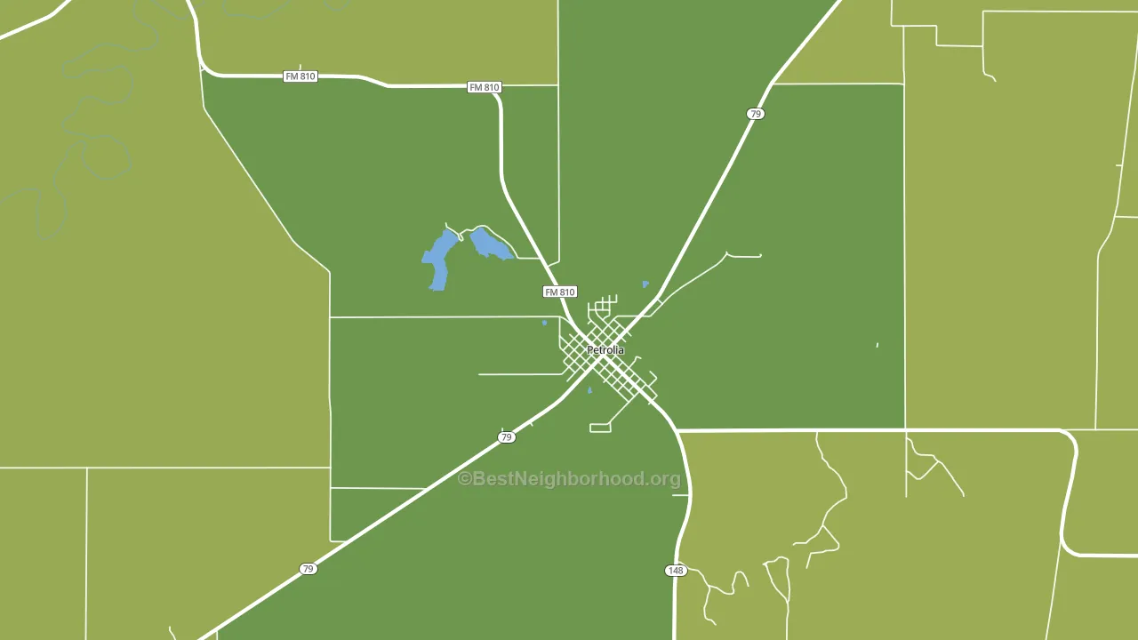 Petrolia, TX block-group voter-turnout map