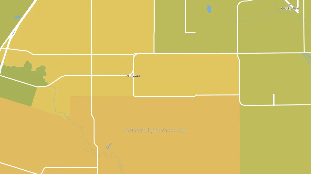 Petronila, TX block-group voter-turnout map