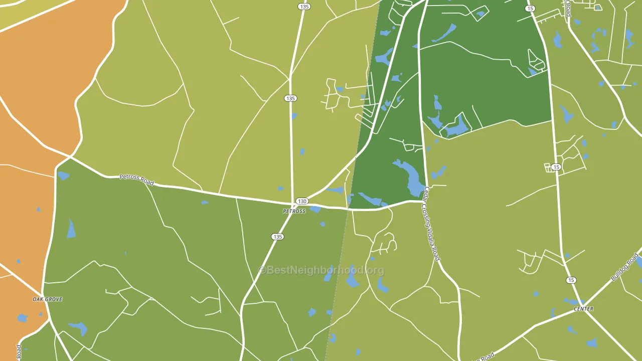 Petross, GA block-group voter-turnout map