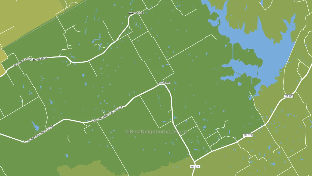 Petteway, TX block-group voter-turnout map